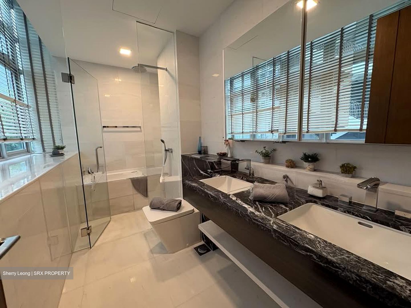 RESIDENCES AT EMERALD HILL (D9), Apartment #602174341